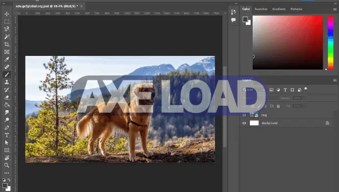โปรแกรม Photoshop ใน Mac​